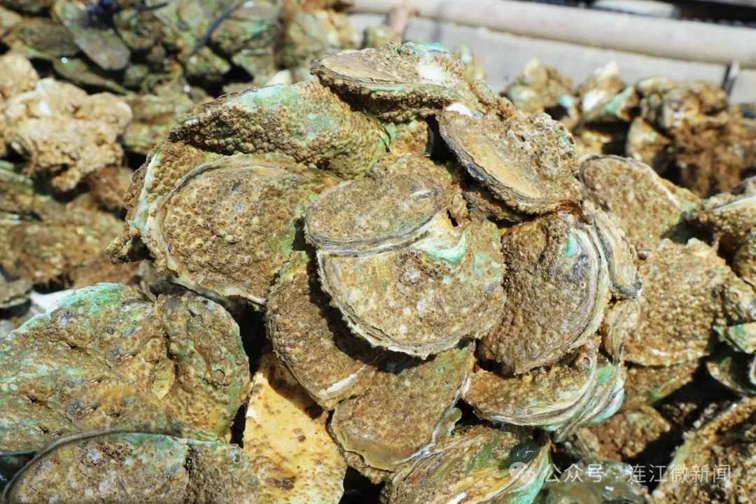 十分心动！连江这里美味上市！