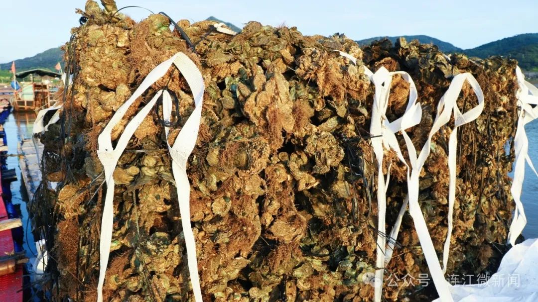 十分心动！连江这里美味上市！