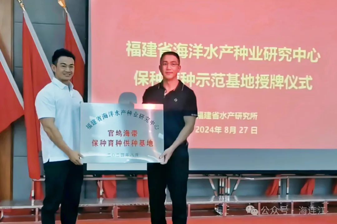 祝贺！“连江芯”再传喜讯