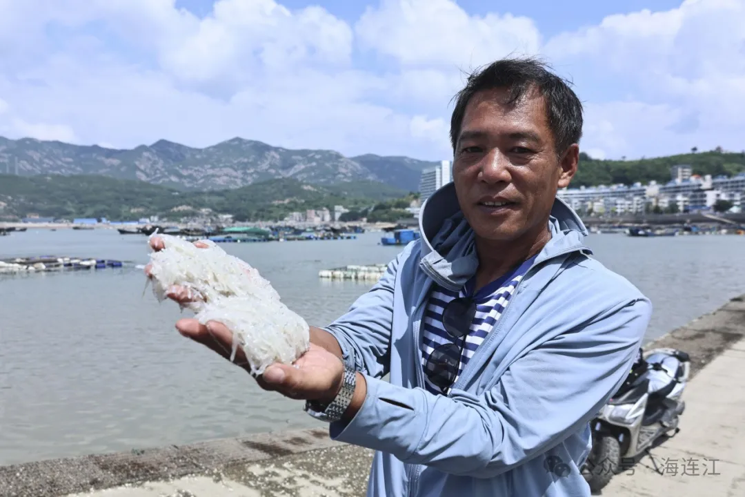 【网络中国节·中秋】晶莹剔透，连江这道小海鲜大量上市中