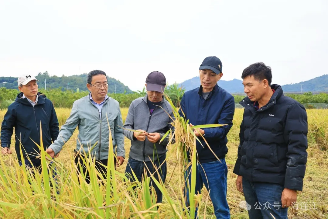 满满“科技范”！连江这位农民“实力”藏不住！