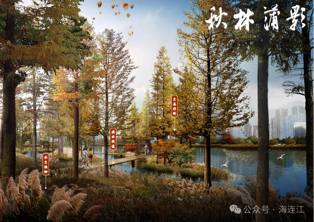 好消息！连江青塘湖公园最新进展→