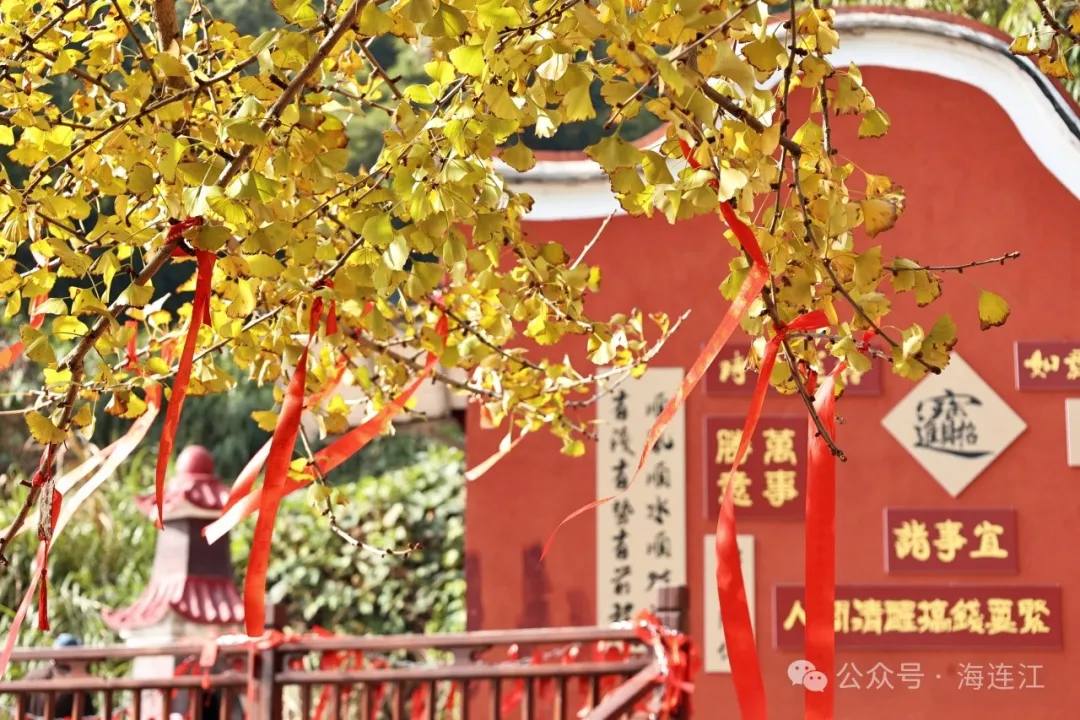 惊艳！连江这里，美成仙境→