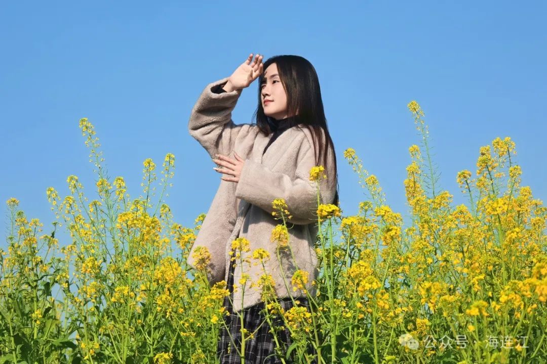 快来打卡！连江这里花开美如画！