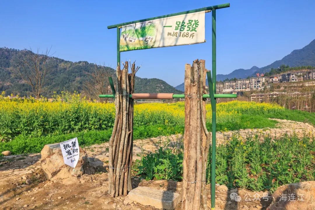 快来打卡！连江这里花开美如画！