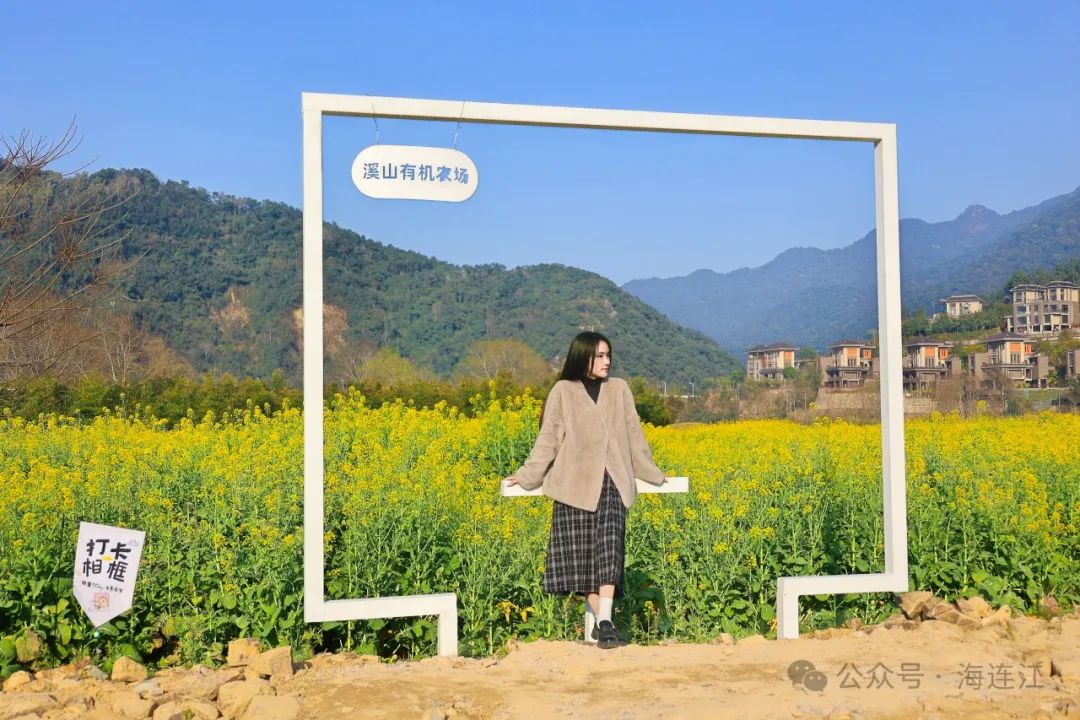 快来打卡！连江这里花开美如画！