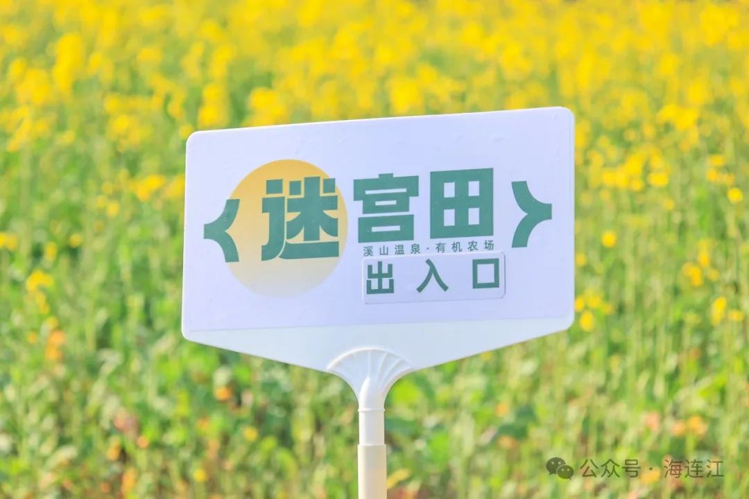 快来打卡！连江这里花开美如画！