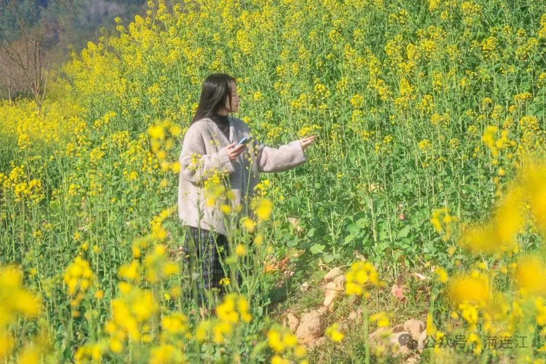 快来打卡！连江这里花开美如画！