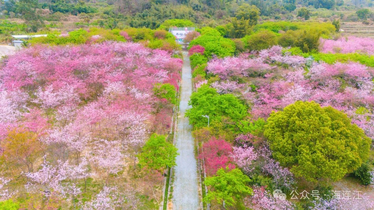 最高25℃！即将升温，连江人做好准备→