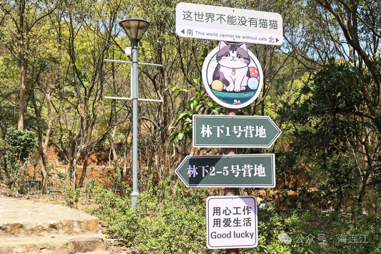 踏青、露营、撸猫！连江这个宝藏春游地，冲冲冲！