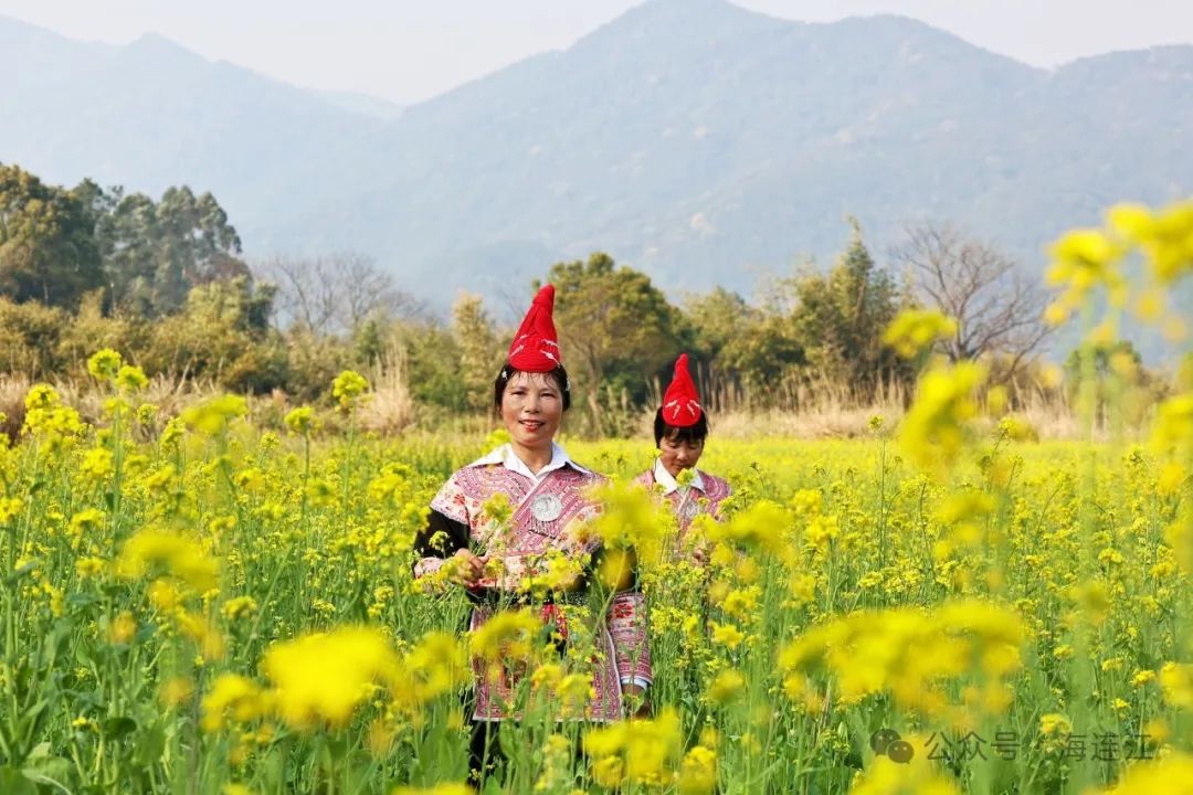 黄的粉的白的！连江这里美得不讲道理！