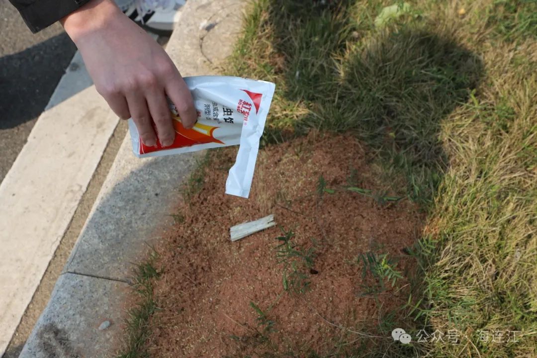 不要踩，不要踩！紧急提醒！连江多处已出现！