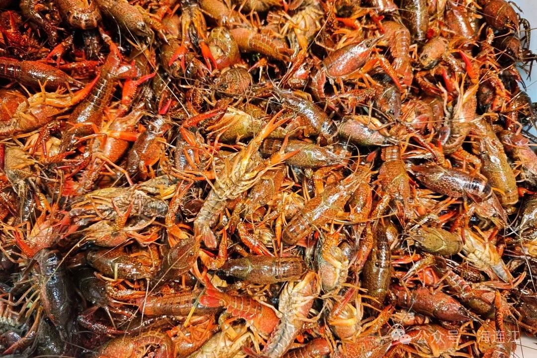 连江“夏季顶流”大量上市，价格还要降！