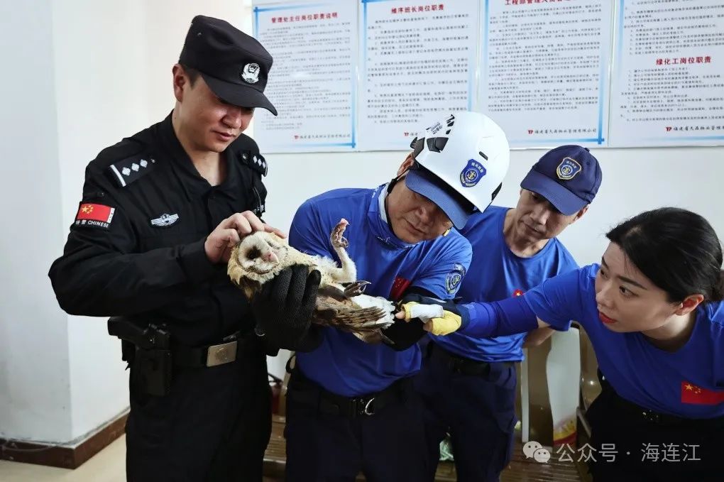 事发连江一小区！大眼“萌禽”获救！