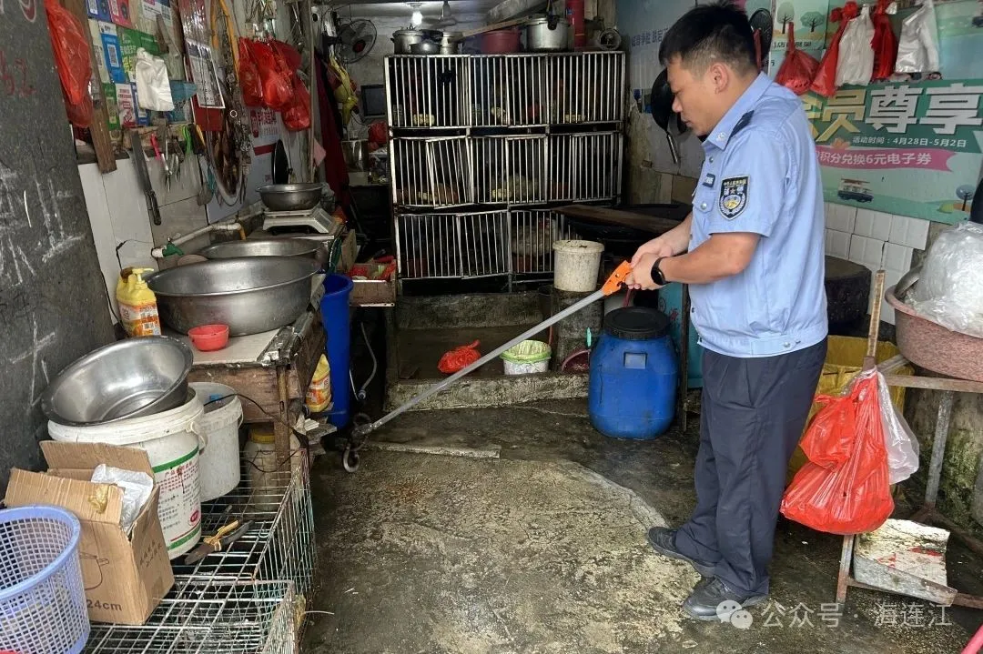 连抓两条！小心！连江多地已出现