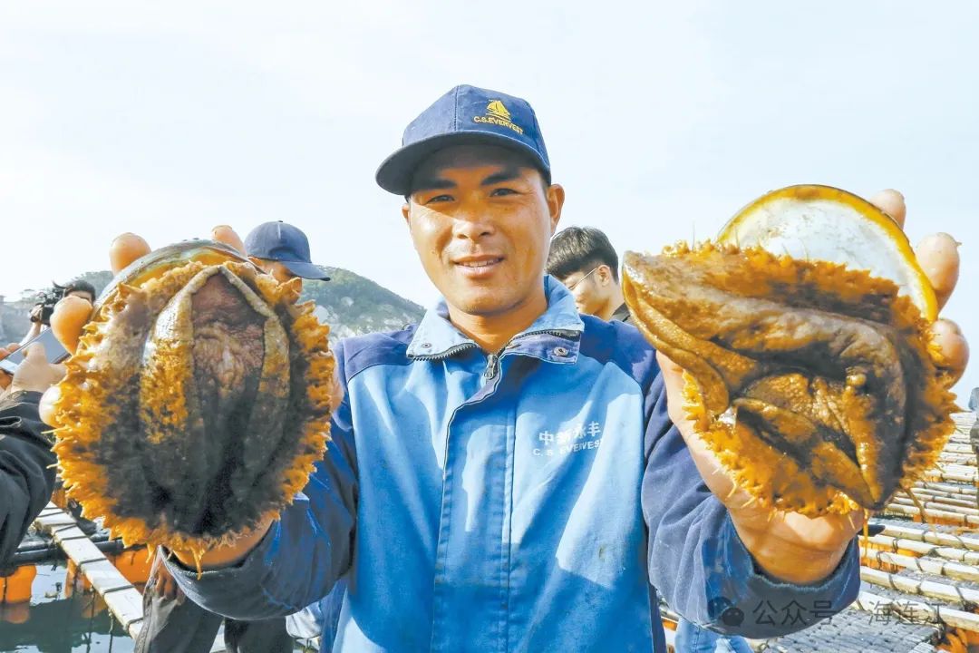 年产量超5000吨！连江这家企业卖“鲍”了！