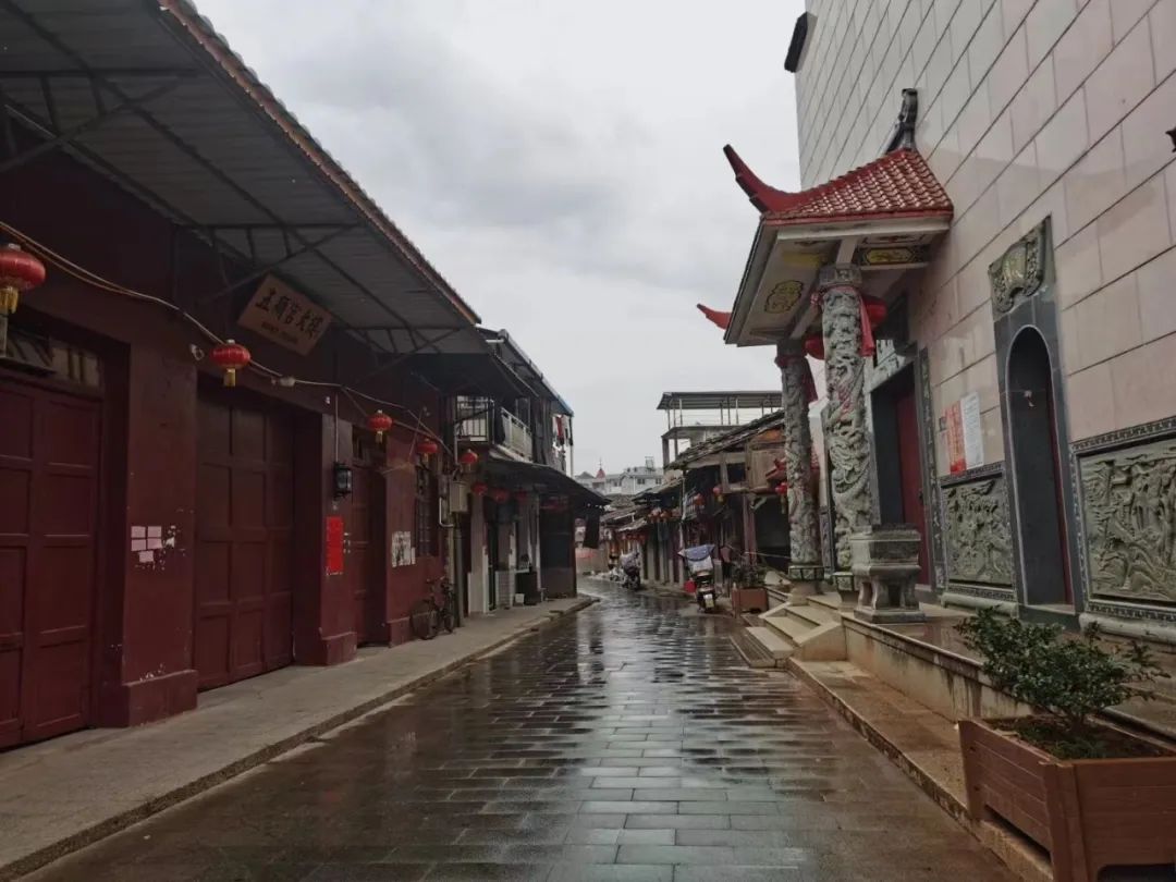凤出丹山熠生辉