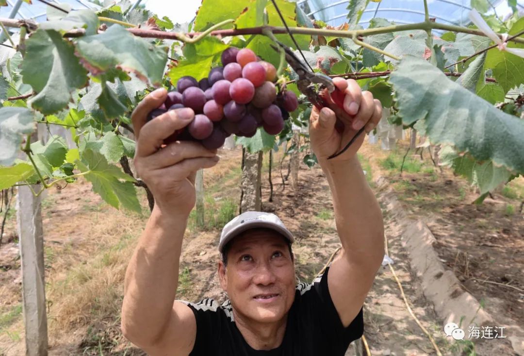 馋！馋！馋！连江正大量上市