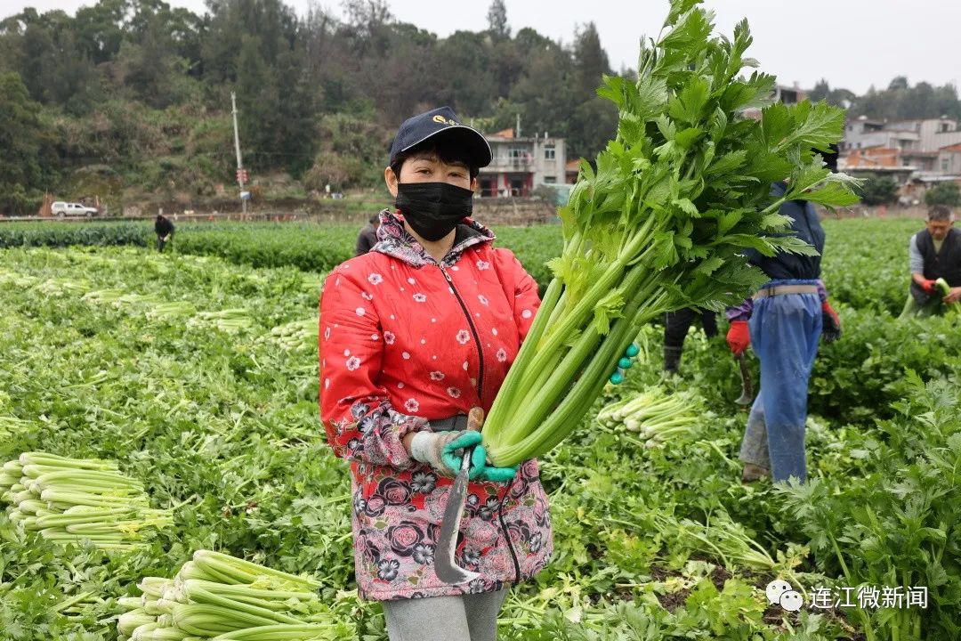 拎稳“菜篮子”，连江春节供应“不打烊”！