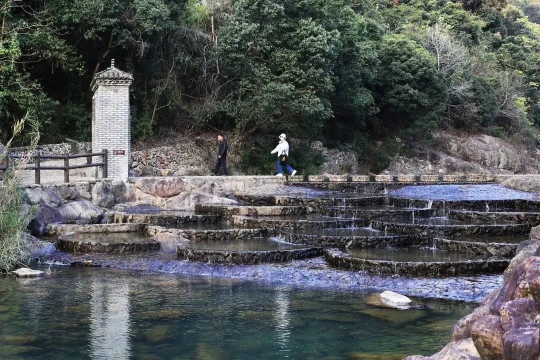 【网络中国节·春节】太太太美了！连江这里花开成海！