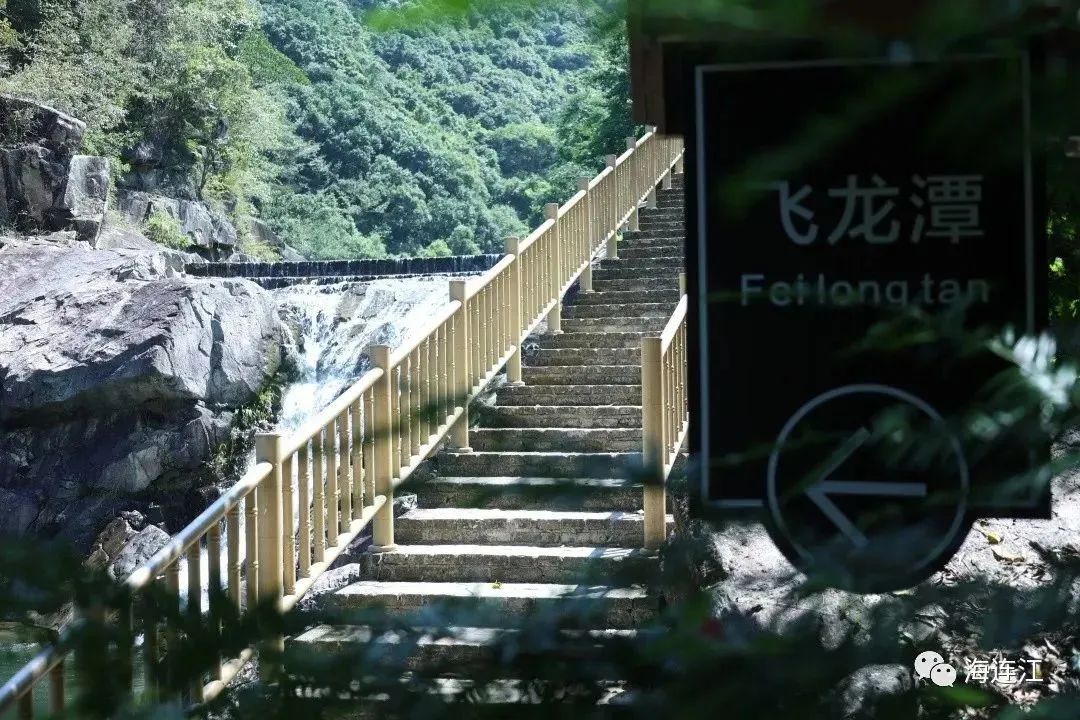 【网络中国节·春节】太太太美了！连江这里花开成海！