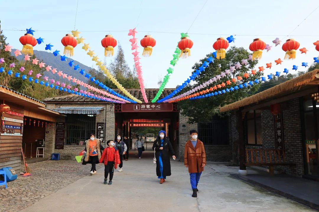 【网络中国节·春节】太太太美了！连江这里花开成海！