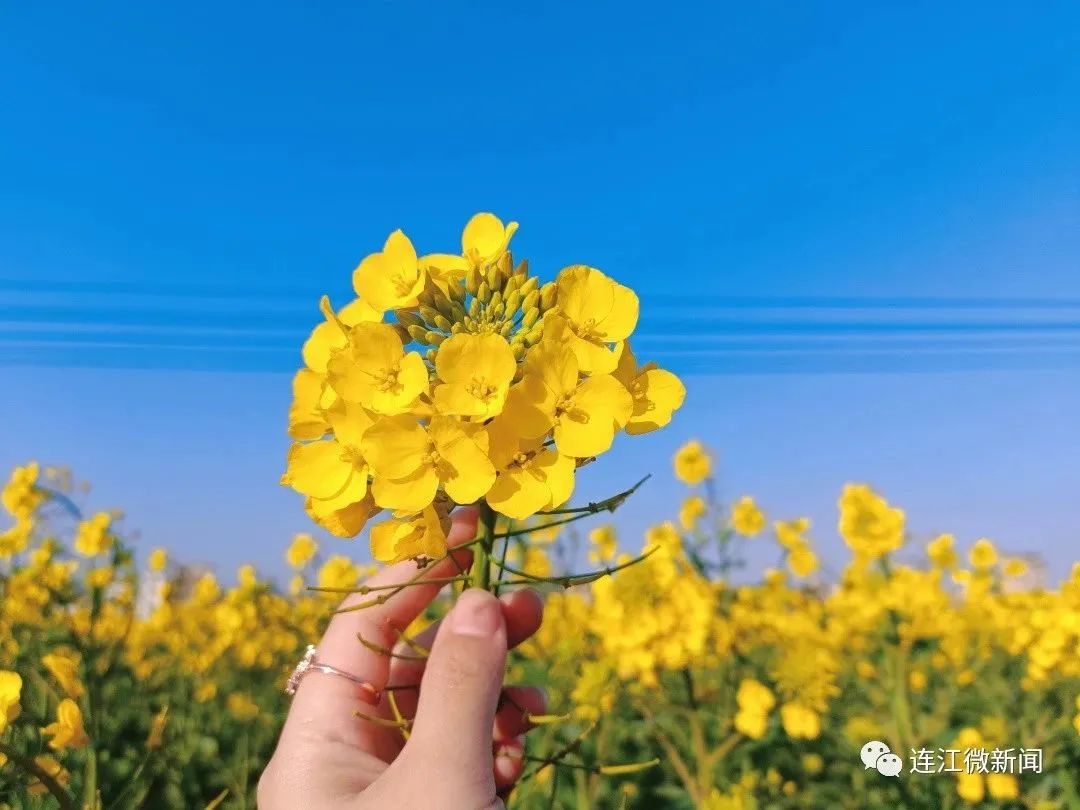 美绝了！连江的春天向你发来约会邀请~