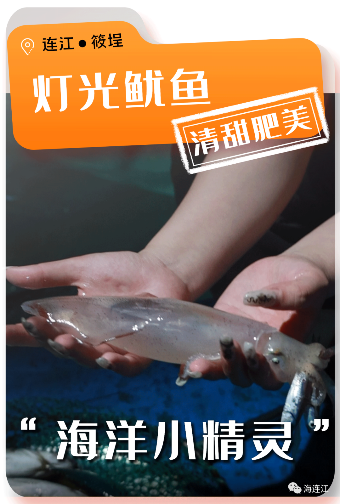 争“鲜”上市！休渔期，连江人就吃……