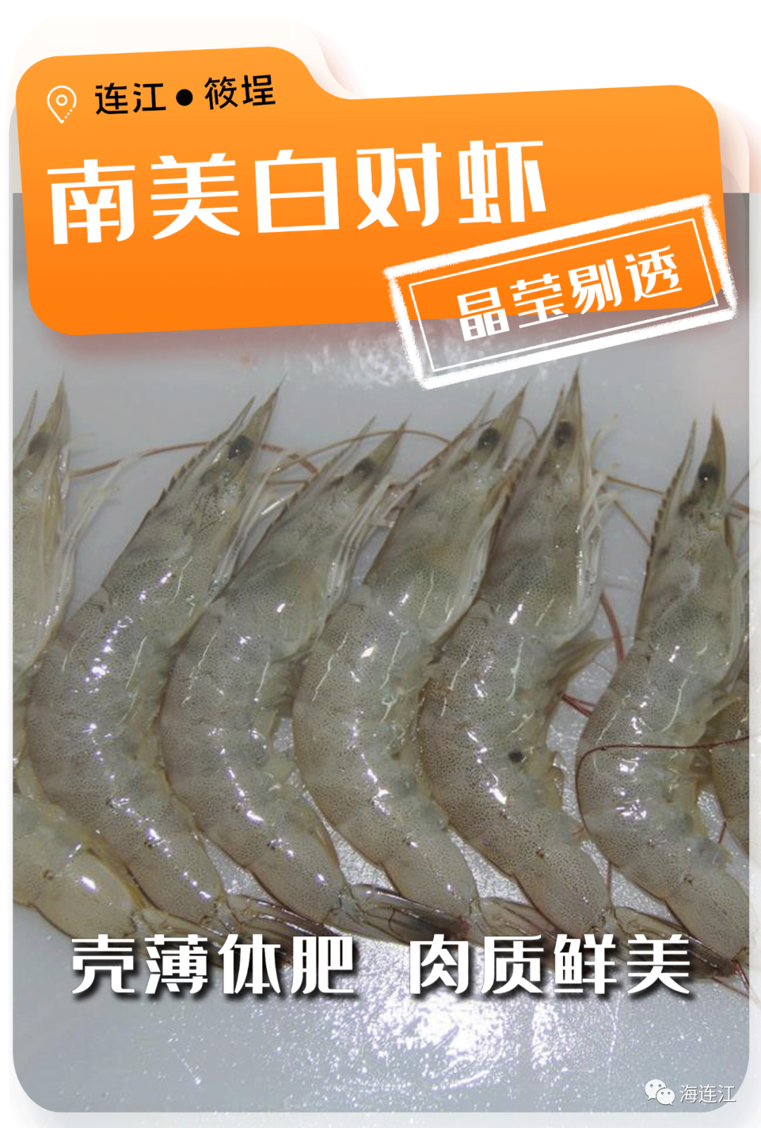 争“鲜”上市！休渔期，连江人就吃……