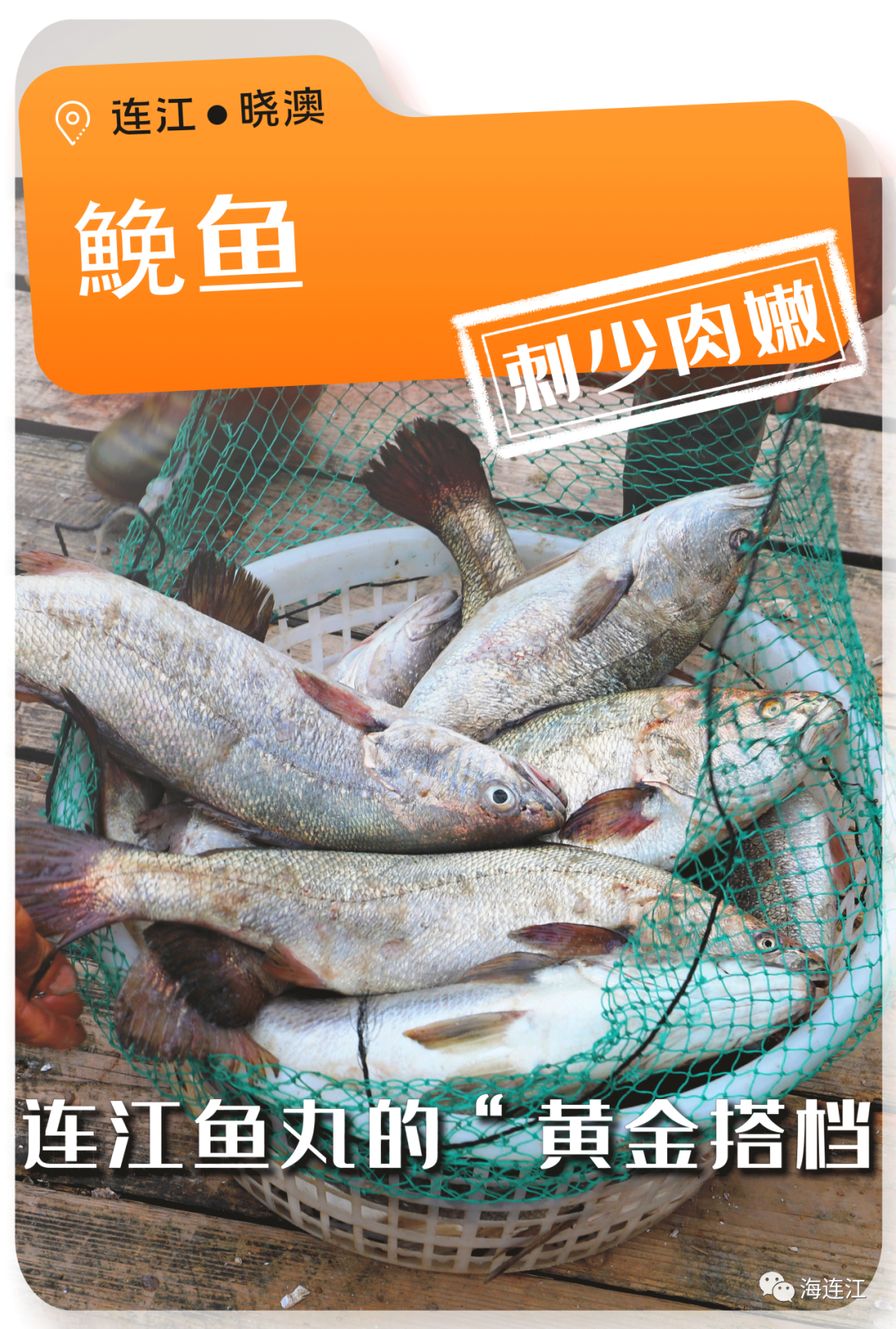 争“鲜”上市！休渔期，连江人就吃……