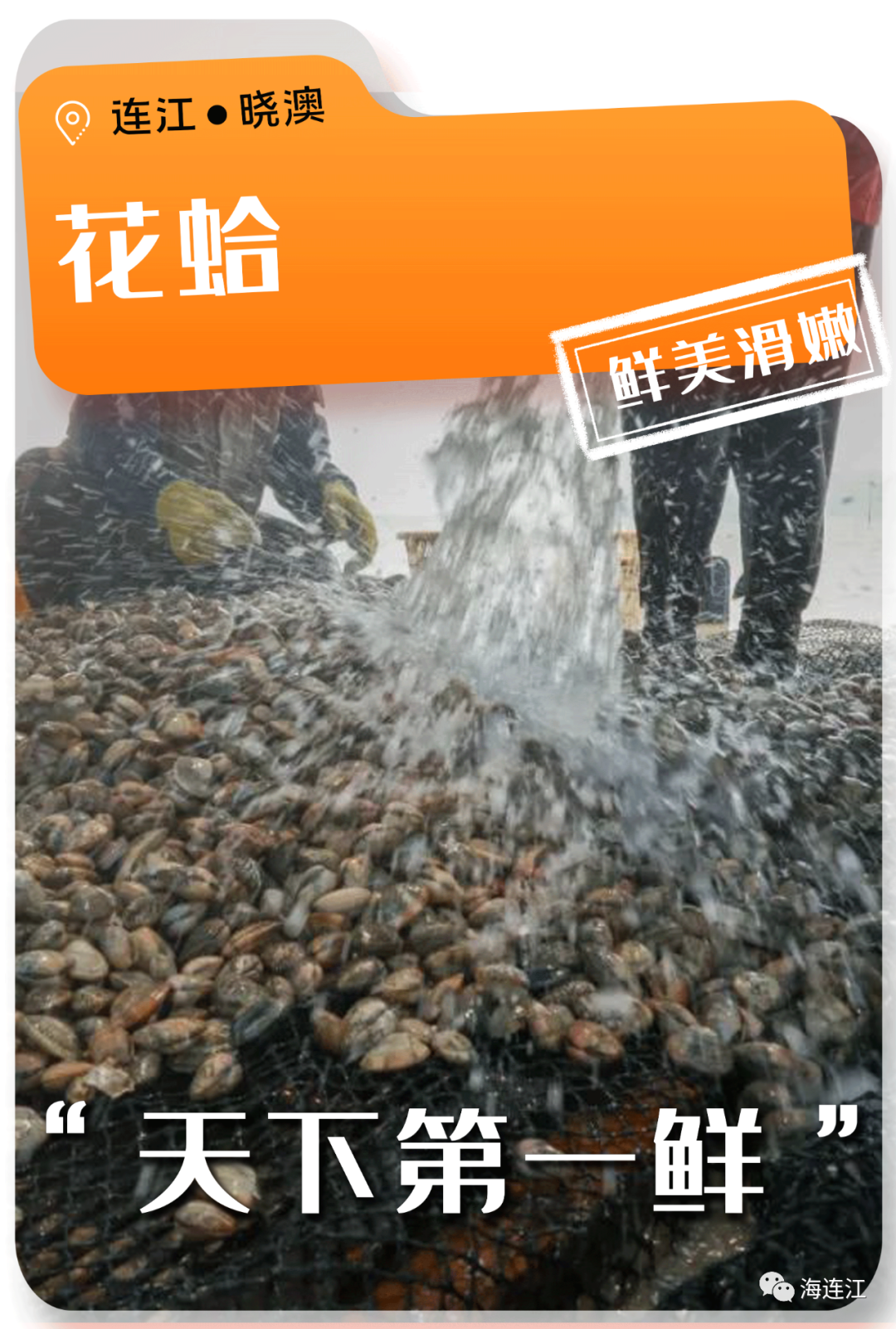 争“鲜”上市！休渔期，连江人就吃……