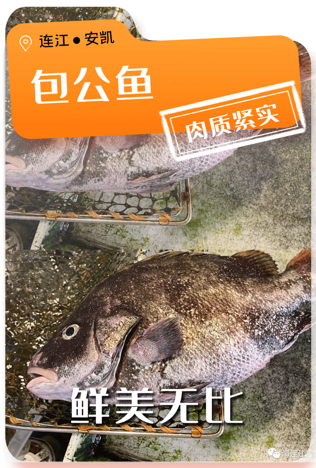 争“鲜”上市！休渔期，连江人就吃……