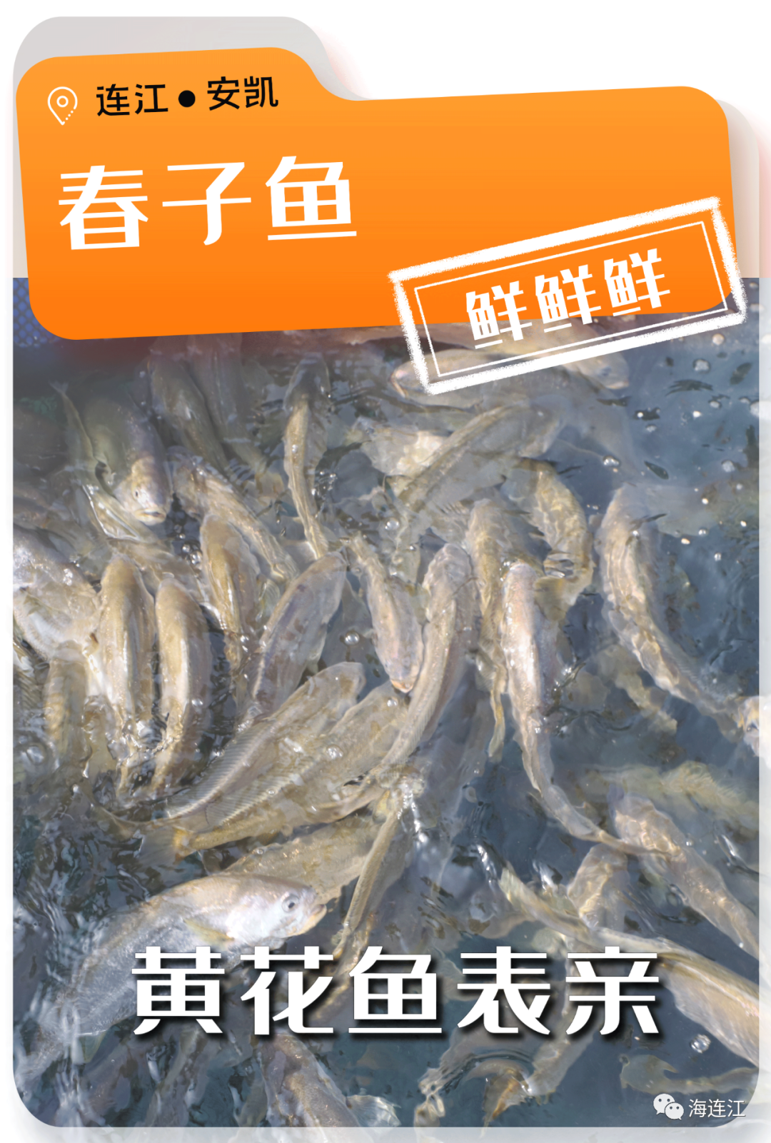 争“鲜”上市！休渔期，连江人就吃……