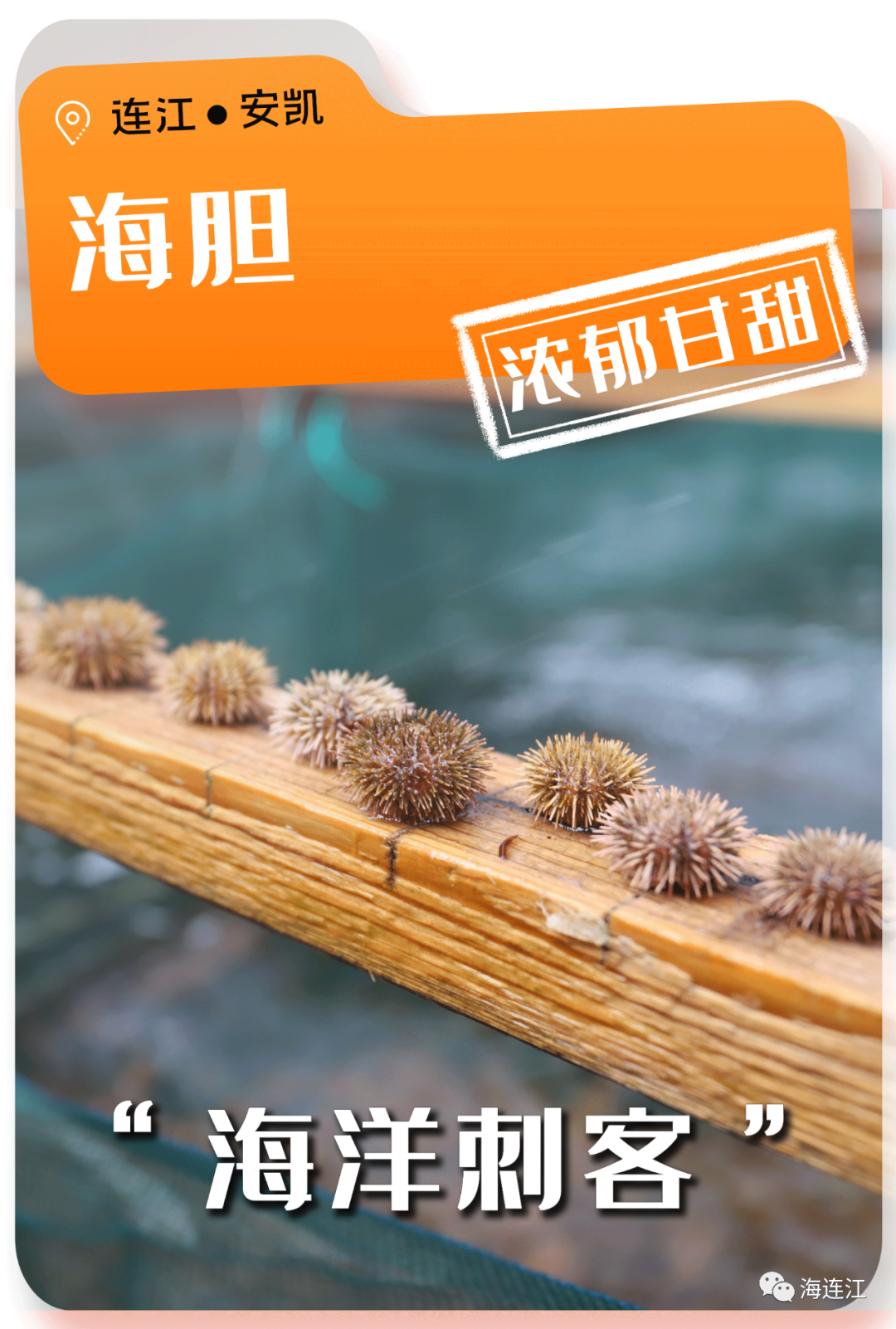 争“鲜”上市！休渔期，连江人就吃……