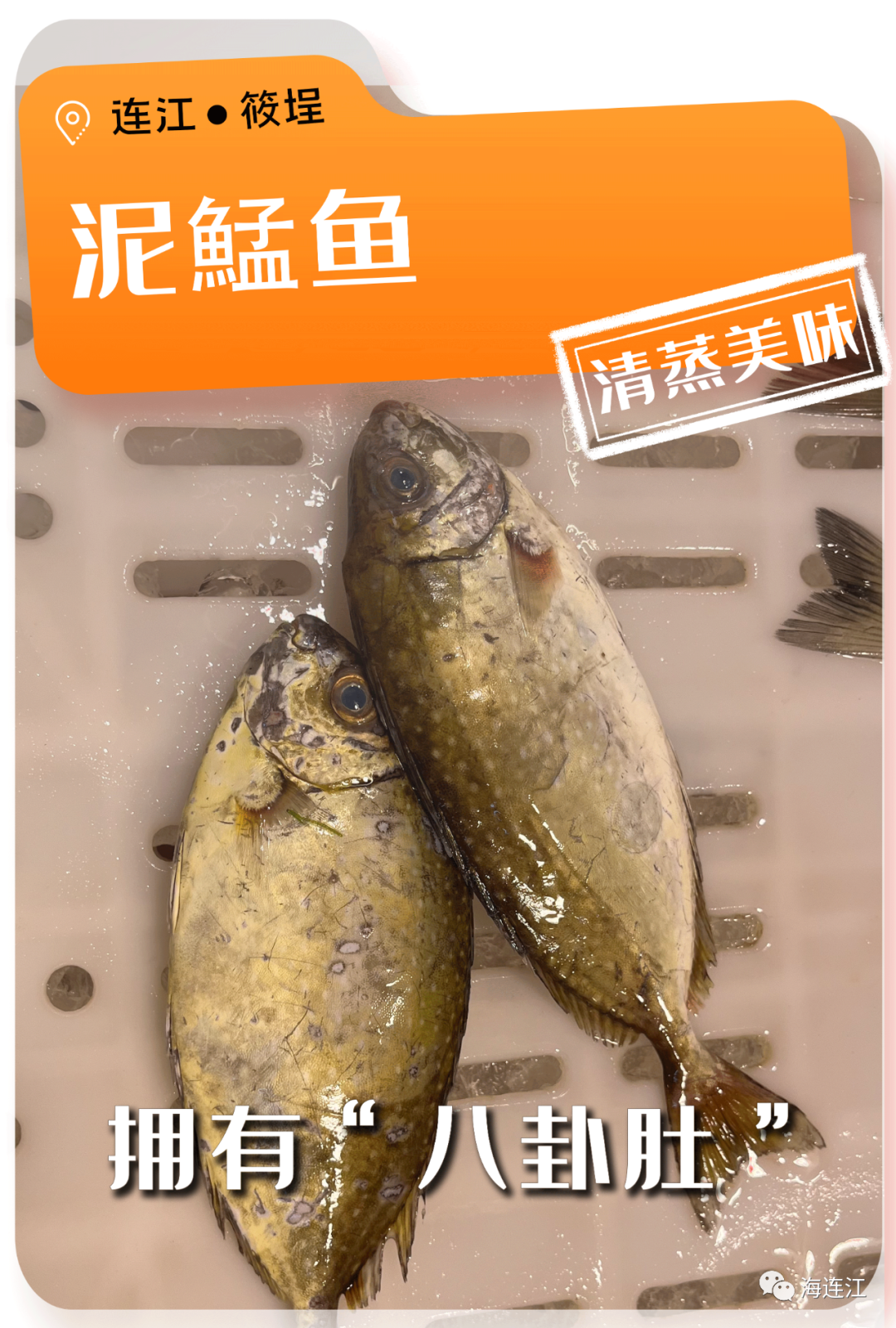 争“鲜”上市！休渔期，连江人就吃……