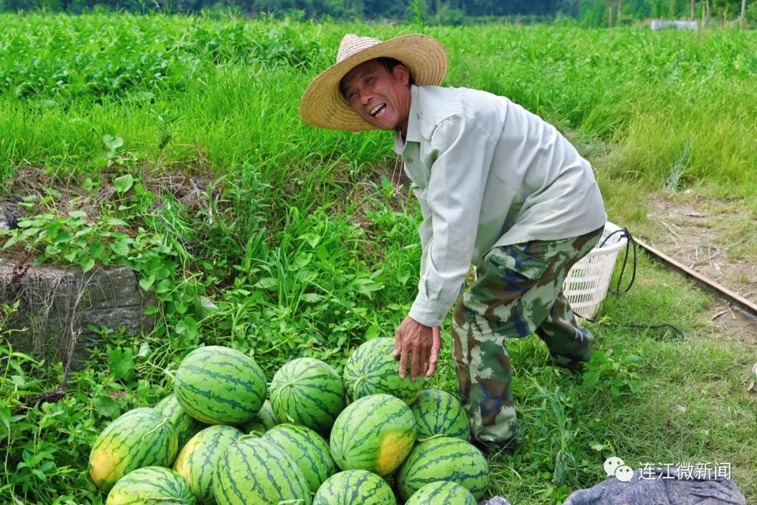 好吃又便宜！连江“网红”大量上市！