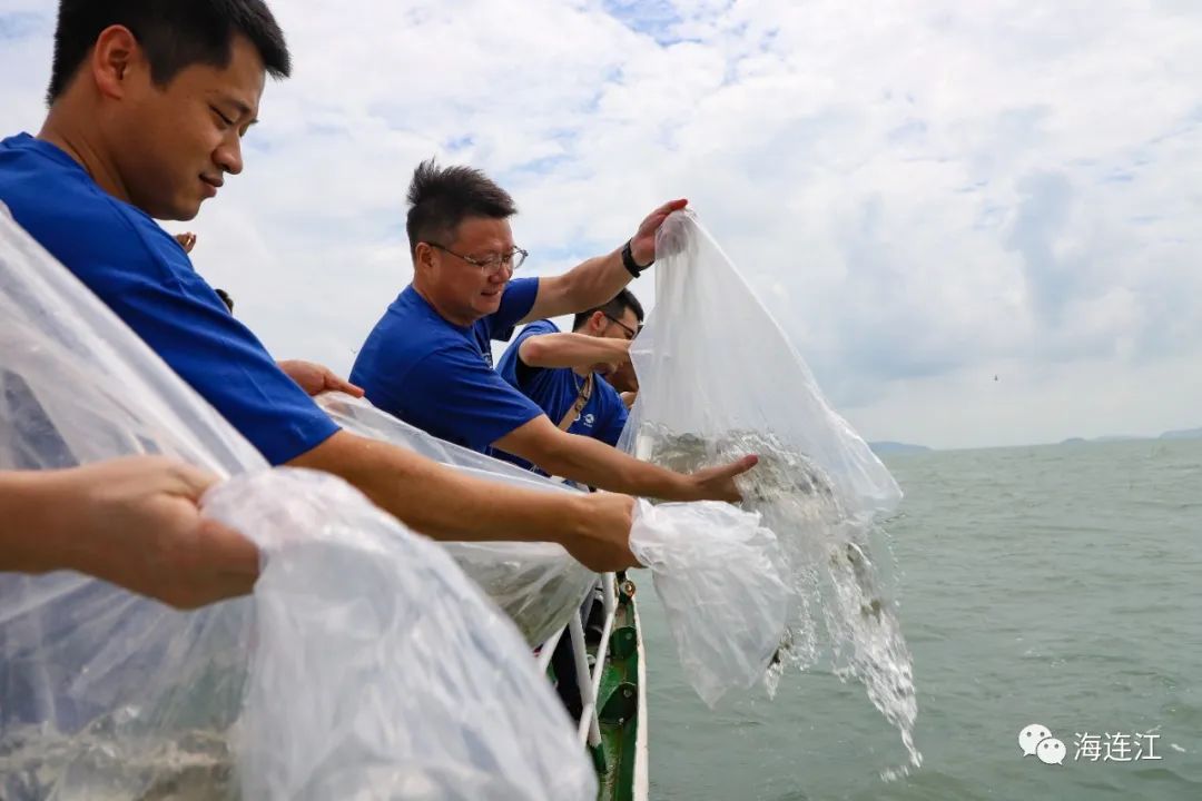 670万尾！今天，连江这片海域真热闹！