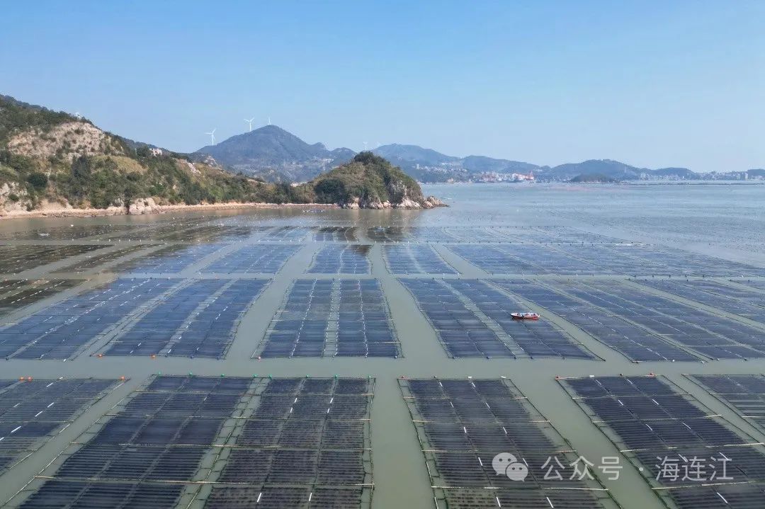 连江“芯”，夹出好钱景！