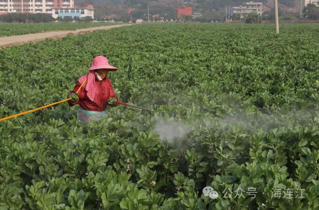 辞职回乡！连江这位“90后”“慧”种地