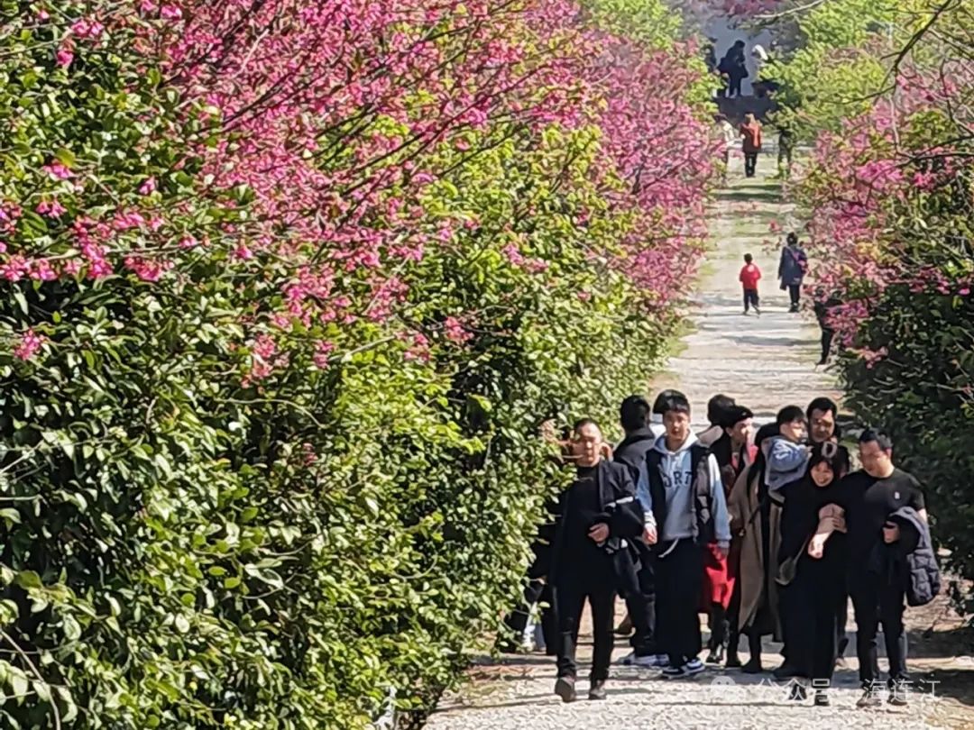 【网络中国节·春节】这个春节，连江“热辣滚烫”！