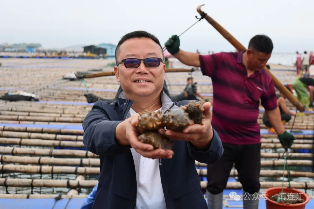 太鲜了！连江人有口福了，正大量上市！