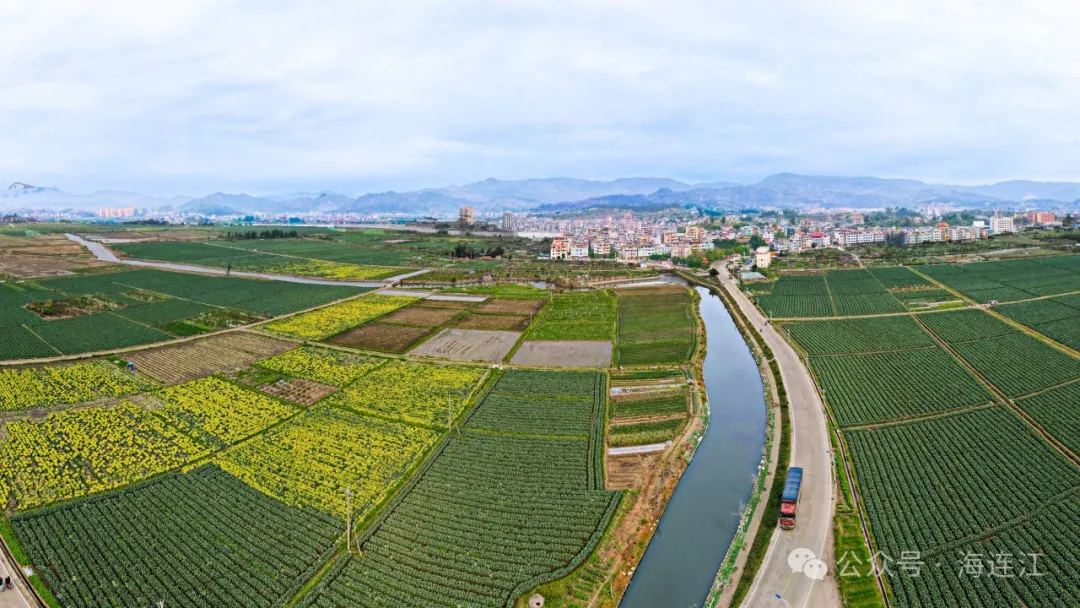 夏日好“丰”景，连江这里“顶瓜瓜”