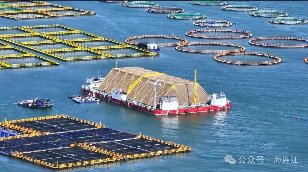 连江这座“海上城堡”，迎来“新住户”！