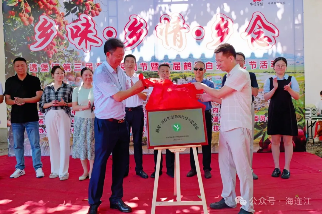 实“荔”出圈！连江人不能错过的夏日盛宴，来了！