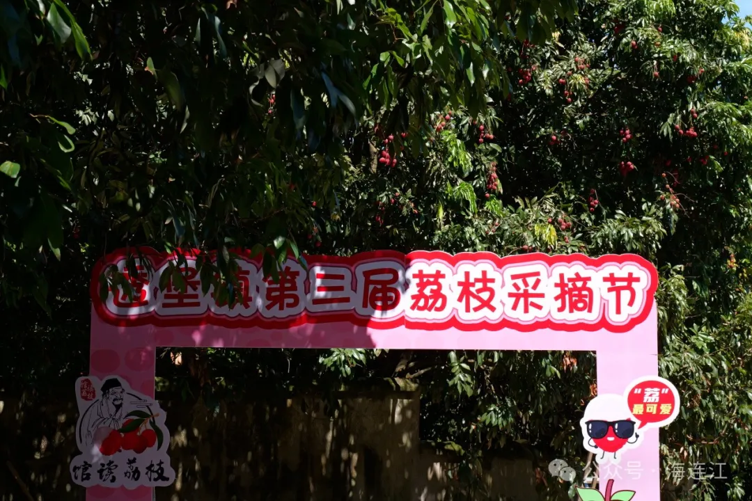 实“荔”出圈！连江人不能错过的夏日盛宴，来了！
