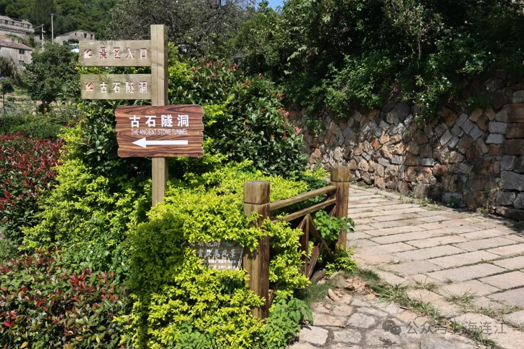 今天，两岸青年来连江共赴艺术之约！