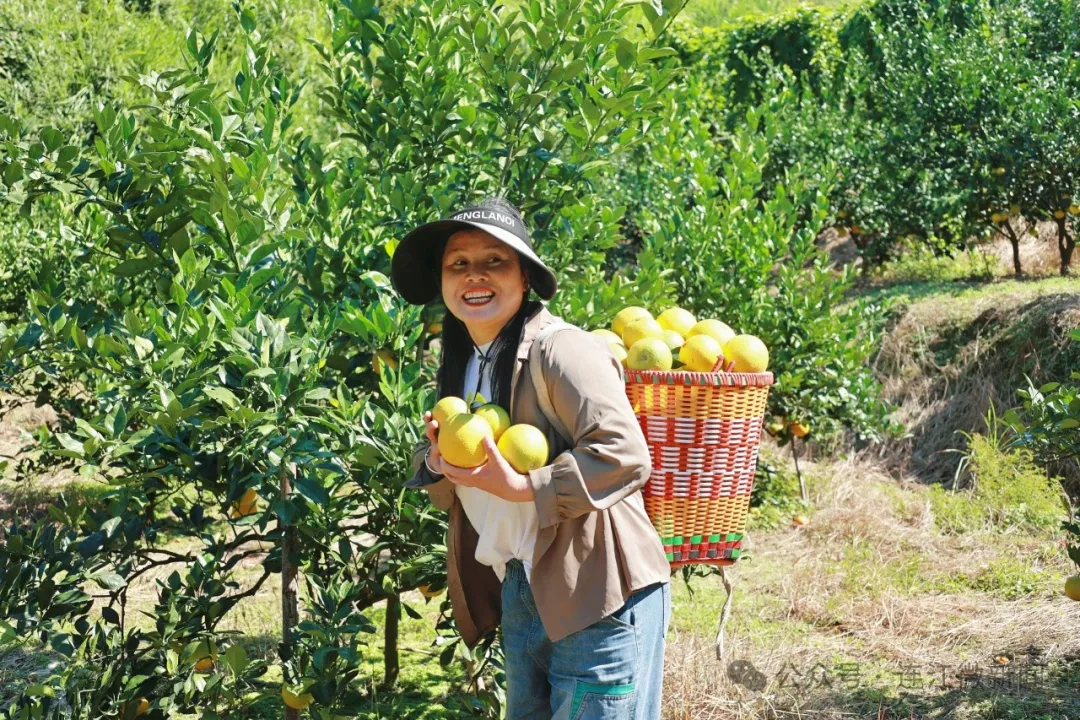 “橙”意满满！连江甜蜜上市！