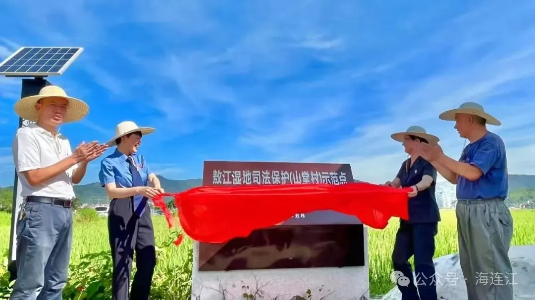 有山有水有文化！今天，守护美丽小沧→