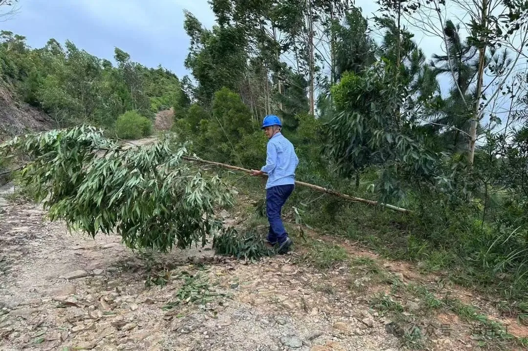 “康妮”来袭，连江严阵以待！