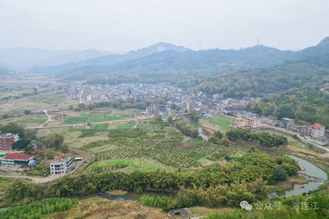助力水果自由！连江这里大量出售→
